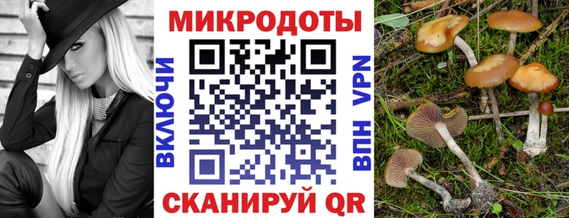 магазин продажи   Дудинка  Галлюциногенные грибы прущие грибы 